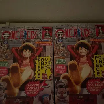 원피스 매거진 제20호 루피 프로모 특제 카드 포함 2권