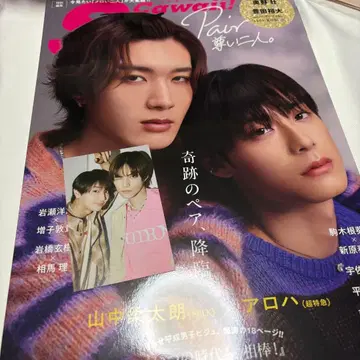 Scawaii! 미니 포토 카드 후지모토 코다이 칸 히데요시