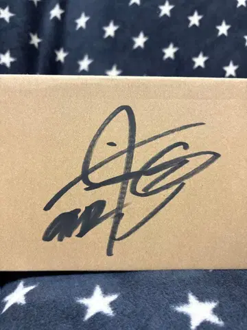 사인 포함 브라운 박스