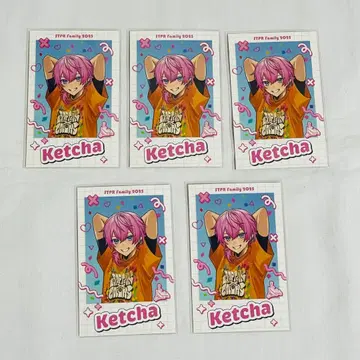 STPR Family 2025 랜덤 포토 카드 앰프 케차