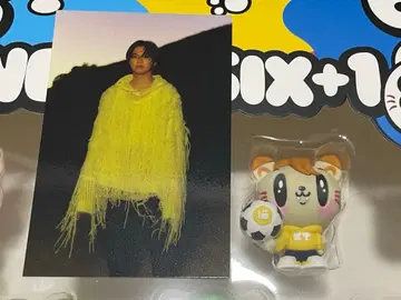 카타요세 료타 제고양이 피규어 트레이딩 카드