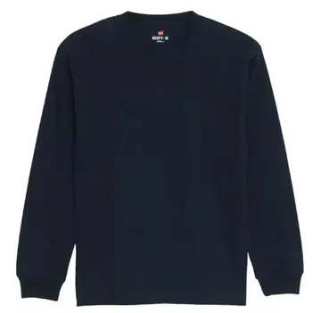 미개봉 Hanes 헤인즈 롱t 2장 세트 BEEFY-T 롱 슬리브