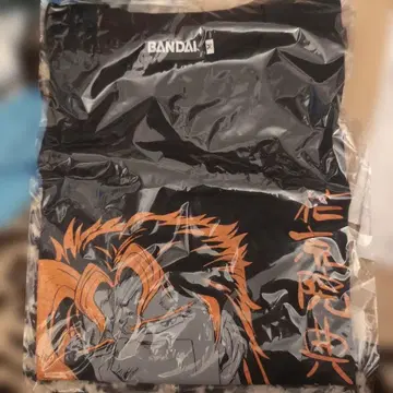 반다이 죠죠의 기묘한 모험 카쿄인 노리아키