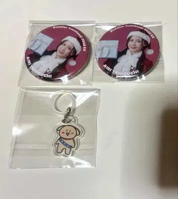 사쿠라자카46 타니구치 아이리 Buddies 감사제 2025EX