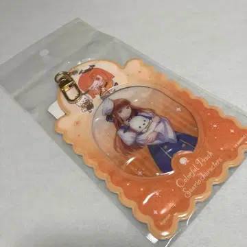 컬러풀 피치 에토 카드 케이스&카드 산리오