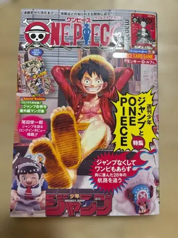 원피스 매거진 20호