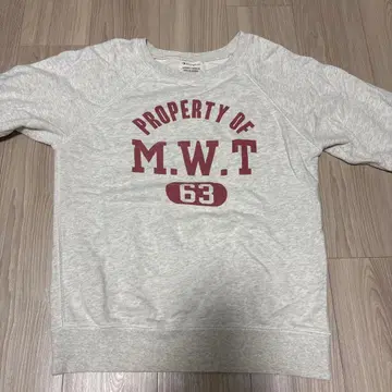 Champion 그레이 트레이닝복 M