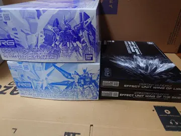 RG 스트라이크 프리덤, 데스티니 건담 티타늄 피니쉬, 외