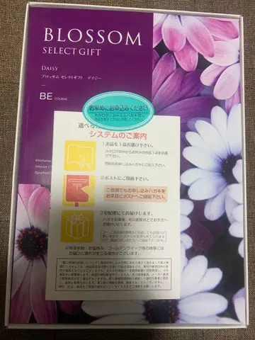 카탈로그 기프트 블라썸 셀렉 기프트 데이지
