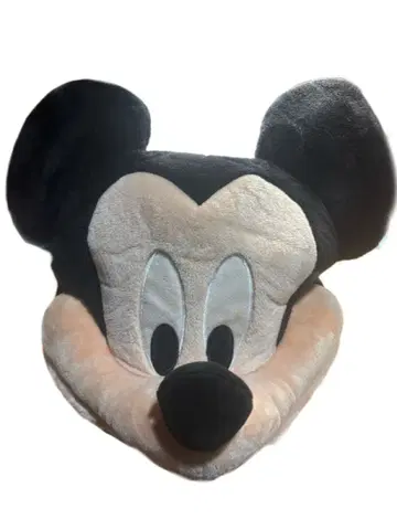 미키마우스 팬캡 디즈니