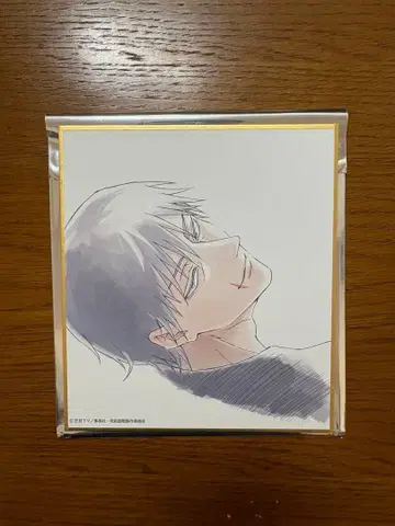 주술회전전 회옥옥절 블라인드 미니 색지 후시구로 토우지