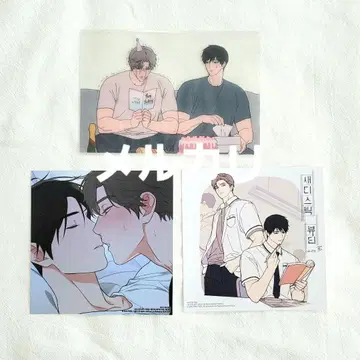 새디스틱 뷰티 외전B 코믹스 3권 애니메이트 특전 한국BL