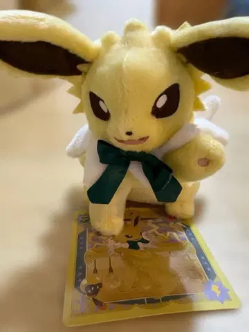 봉제 인형 Eevee Collection 썬더 포켓몬