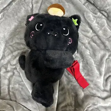 NCT WISH LOGIN 캐릭터 백 리쿠 md 인형 봉제 인형