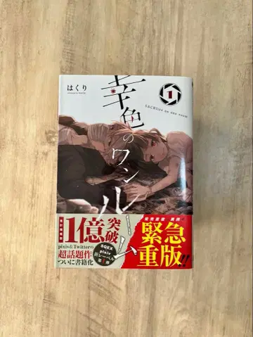 행복색 원룸 전 11권