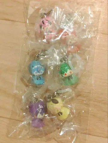 시쿠포니 메지루시 액세서리 6종 컴플리트