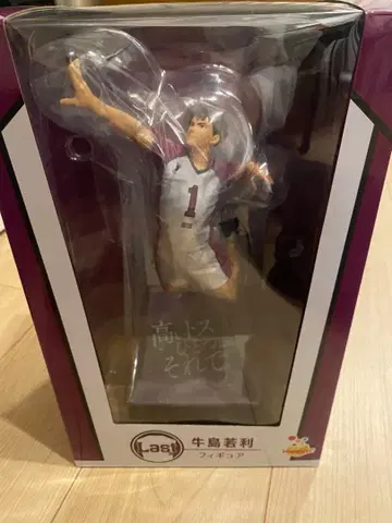 하이큐 우시지마 피규어 라스트 원