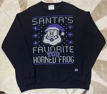 champion TCU 챔피온 후드티 3XL 남성용 구제 의류 빅 사이즈