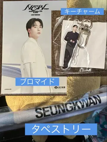 SEVENTEEN NEW 태피스트리 키 참 브로마이드 승관