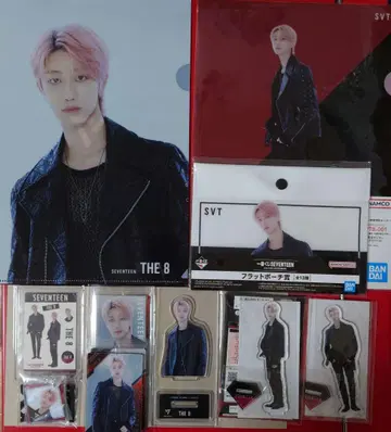 SEVENTEEN 민하오 토루파카 가샤폰