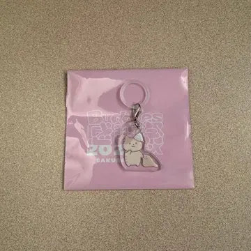 야마시타 시즈키 메지루시 참 사쿠라자카46