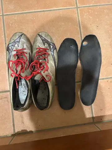 미즈노 알파 엘리트