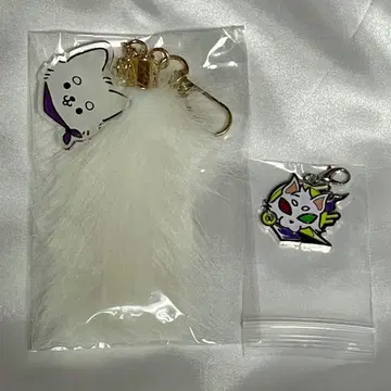 Crazy racoon cr ras 벌스데이 2025