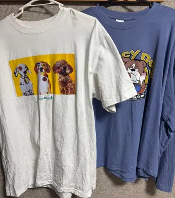 saucy dog 타월 t셔츠 묶음 판매