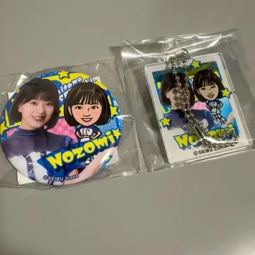 사이타마 세이부 라이온즈 아크릴 키링 캔뱃지 NOZOMI 히로미