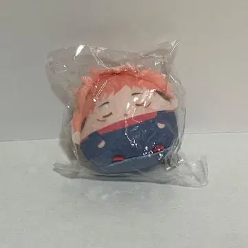 주술회전 이타도리 유우지 테노린즈 복권 메이트 E상