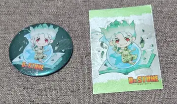 Dr.STONE 이시가미 센쿠