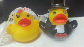 [ 희귀 ] 러버덕 웨딩덕 2체 세트