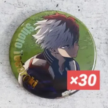 나의 히어로 아카데미아 히로아카 토도로키 쇼토 twilight 캔뱃지