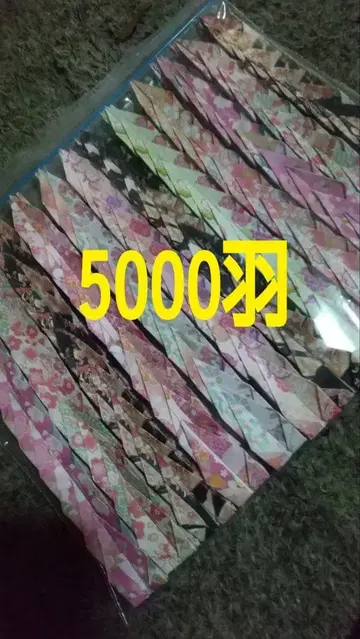 종이학 종이학 샤워 일본풍 패턴 5000개