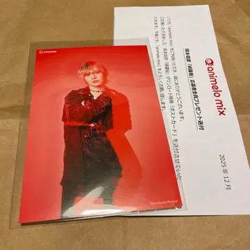 오카모토 노부히코 키라벚꽃 엽서