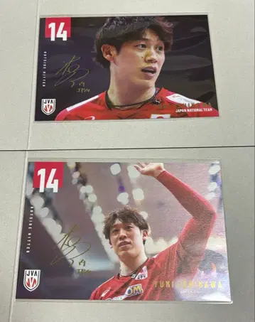 남자 배구 엽서 이시카와 유키