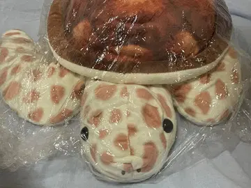 흐물흐물 바다거북 봉제 인형