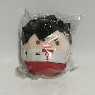 하이큐 쿠로오 테츠로 후 와코로링