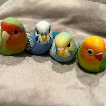 손안의 프렌즈 잉꼬