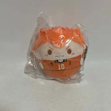 하이큐 히나타 쇼요 후와코로링