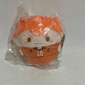 하이큐 히나타 쇼요 후와코로링