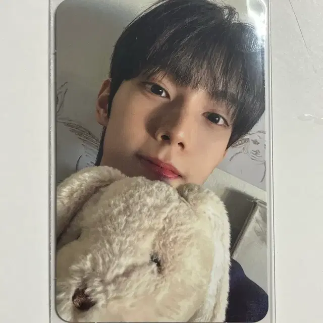 최립우 앨범 포카 양도