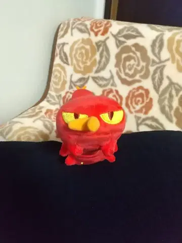 포켓몬스터 포켓몬 센터 한정판 야크데 봉제 인형 택 포함 협의 가능