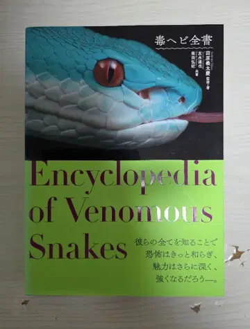 거의 미사용품 새상품급 독사전서