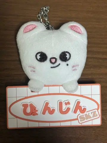 스키즈 skzoo 지니레트 명찰