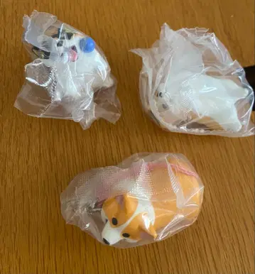 강아지 피규어 3체 세트 미개봉 코기산포