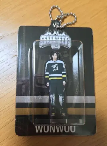 SEVENTEEN HOME 원우 아크릴 키링