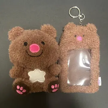 쿼지 quoji evnniz evnne 이브니즈 이븐