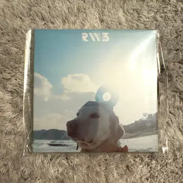 RADWIMPS 특별전 레코드 코스터 무인도에 가져가는 것을 잊은 한 장