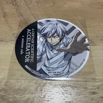 어떤 과학의 초전자포 가속기 코스터